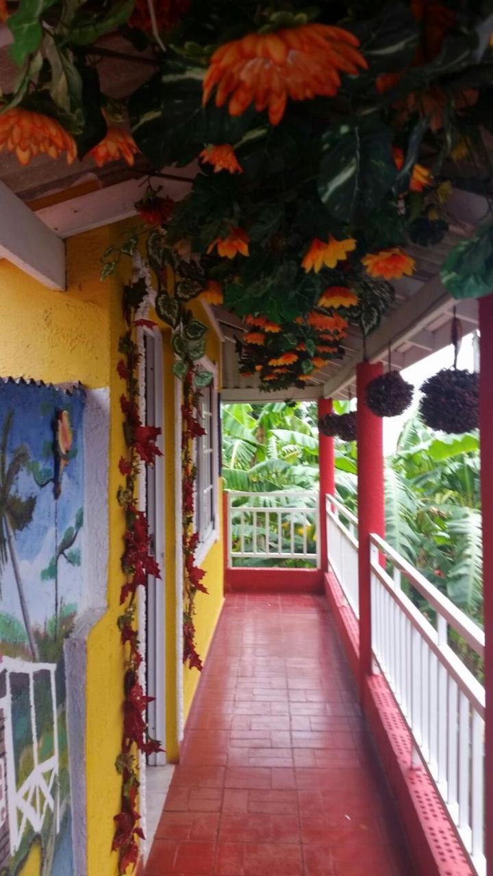 Posada Nativa Licy San Andrés Exterior foto